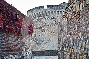 Inside Kalemegdan fortress at autumn, towers and walls with red leaves, Kalemegdan, Belgrade