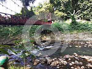 Inside Kebun Raya Bogor