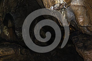 Inside Kents Cavern prehistoric cave