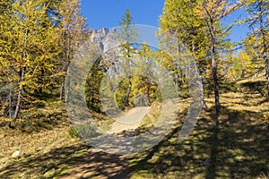 Alpe devero autumnal mountain landscape