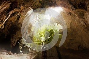 Inside a limestone cave