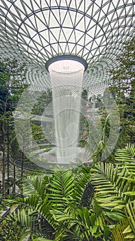 Inside look of the Changi airport surrounded by tropical plants with a fountain from the ceiling