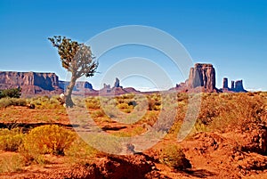 Inside Monument Valley photo