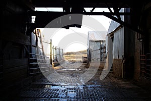 Inside Old Barn Corral Border