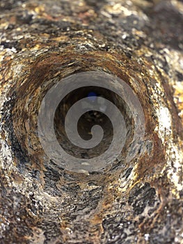 Inside the old pipe