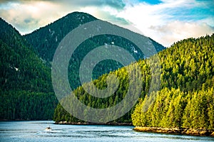 Inside Passage in Canada, inlet and forest