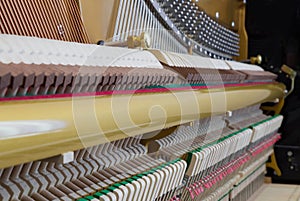 Inside of a piano