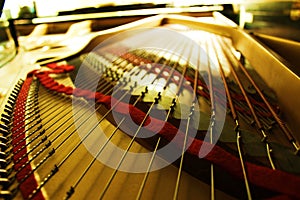 Inside of a concert grand piano