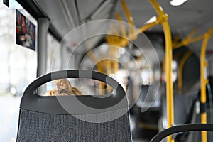 Inside a public transport bus in Hamburg Germany