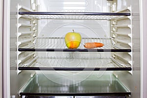 Inside the refrigerator