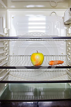 Inside the refrigerator