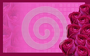 inside right, nine pink rose flowers bouquet, on pink frame on blur rose flower and blur rounded rectangle on pink background,