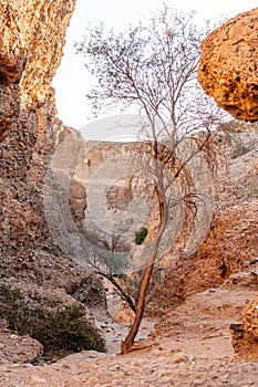 Inside Sesriem canyon in Namibia
