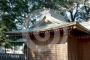 Inside the shrine`s precinct