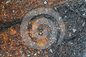 Inside slice of Chondrite Meteorite L Type isolated, piece of rock formed in outer space in the early stages of Solar System as