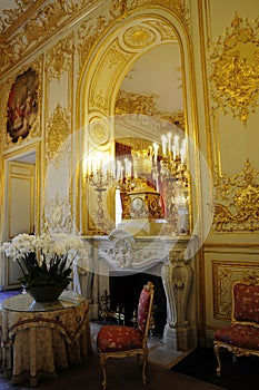 Inside Splendid royal palace with Fireplace photo