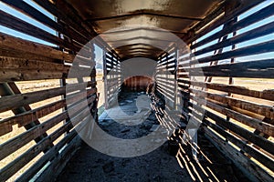 Inside the Train Cattle Car