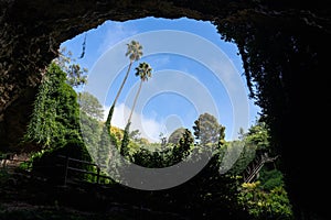 From inside the Umpherston Sinkhole in Mount Gambier, South Australia photo