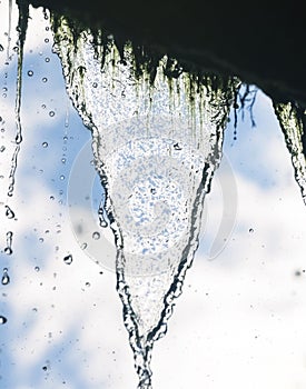 Inside view of a curtain of water at a waterfall showing the rock ledge and vegetation.