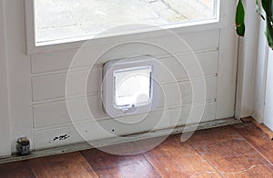 Inside view of a regular white cat flap, flap closed