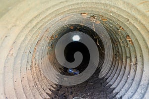 Inside view of Small culvert under a farm to market road in Texas