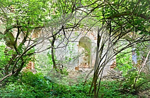 Inside view in sun light of abandoned synagogue with growing trees and grass inside. Mezhyriv village. Ukraine