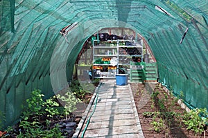 Inside the village greenhouse everything is ready for spring agrotechnical work