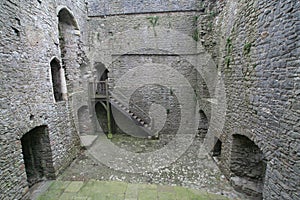 Inside Weobley castle