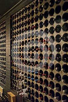 Inside wine cellar