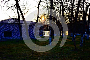 Inside a zoo at sunset