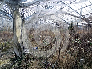 Insight into an abandoned gardening