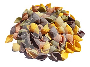Insolated colored pasta conchiglioni