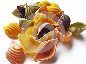 Insolated colored pasta conchiglioni