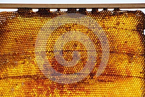 Insolated wooden frame with honeycombs  closeup
