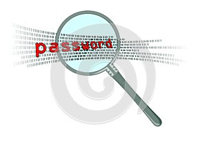 inspect password in magnifier