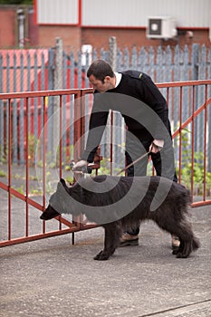 Inspecting the premises