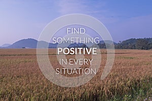 Inspiration and motivation quote on blurred rice field background