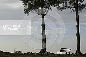 Inspiration motivational quotes with single bench and tree on a hill during sunset. Never be afraid to stand alone