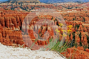 Inspiration point landscape, Bryce Canyon National Park