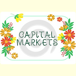 Inspiration showing sign Capital Markets. Internet Concept Allow businesses to raise funds by providing market security