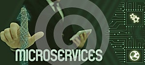 Inspiration showing sign Microservices. Business overview Software development technique Building single function module