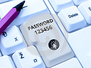Inspiration showing sign Password 123456. Business idea the hidden word or expression to be used to gain access to