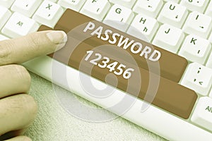 Inspiration showing sign Password 123456. Internet Concept the hidden word or expression to be used to gain access to