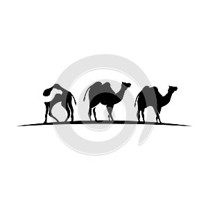 Inspiration tree Vector camel logo