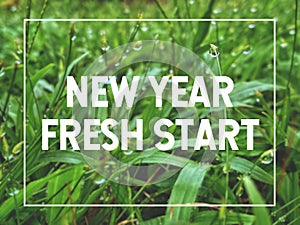 Inspirational Concept - NEW YEAR FRESH START text background. Stock photo.