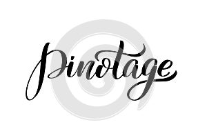 Inspirational handwritten brush lettering . Vector calligraphy illustration photo