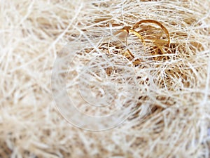 inspirational image of couple's rings with wood fiber in vintage background