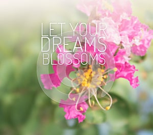 Inspirational and motivation quote on blurred flower background