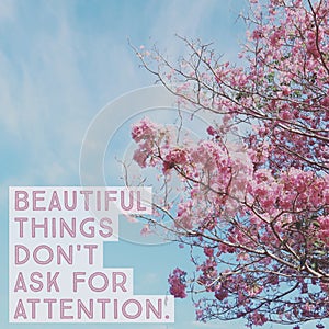 Inspirational motivational quote `beautiful things don`t ask for attention`