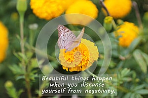 Inspirational motivational quote - Beautiful things happen when you distance yourself from negativity.